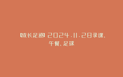 【成长足迹】2024.11.28录课、午餐、足球