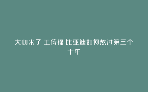 大咖来了|王传福:比亚迪如何熬过第三个十年
