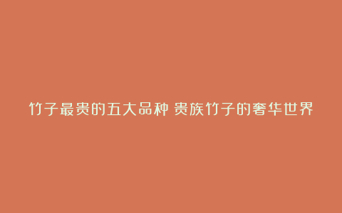 竹子最贵的五大品种:贵族竹子的奢华世界