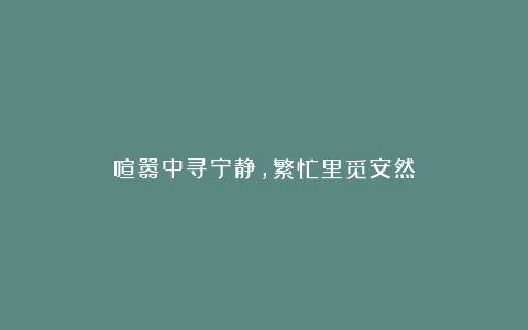 喧嚣中寻宁静,繁忙里觅安然