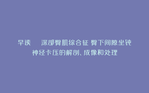 早读 | 深部臀肌综合征:臀下间隙坐骨神经卡压的解剖、成像和处理