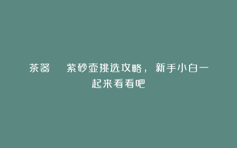 茶器 | 紫砂壶挑选攻略， 新手小白一起来看看吧