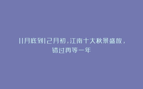 11月底到12月初,江南十大秋景盛放,错过再等一年!