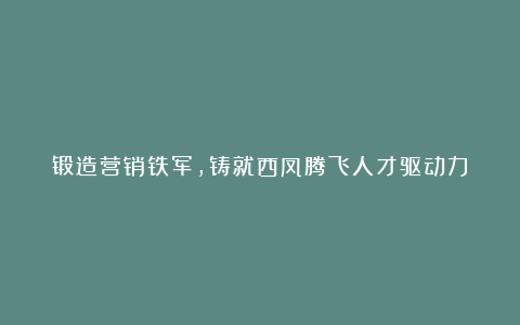 锻造营销铁军,铸就西凤腾飞人才驱动力