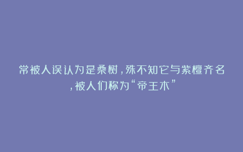 常被人误认为是桑树，殊不知它与紫檀齐名，被人们称为“帝王木”