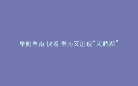 阜阳阜南:快看!阜南又出现“天鹅湖”!