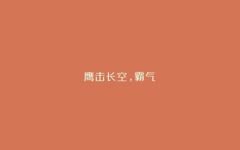 鹰击长空,霸气!