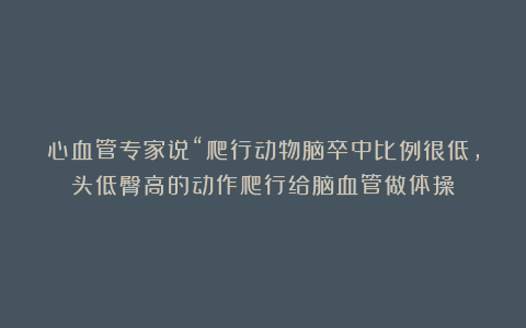 心血管专家说“爬行动物脑卒中比例很低,头低臀高的动作爬行给脑血管做体操