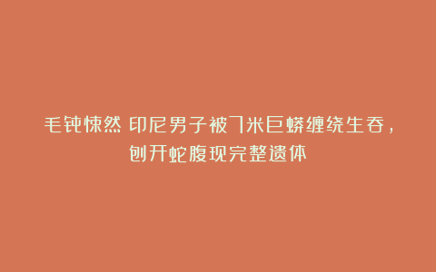 毛骨悚然!印尼男子被7米巨蟒缠绕生吞,刨开蛇腹现完整遗体
