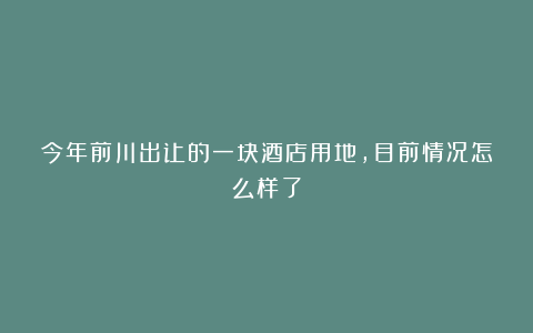 今年前川出让的一块酒店用地,目前情况怎么样了