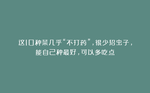 这10种菜几乎“不打药”,很少招虫子,能自己种最好,可以多吃点