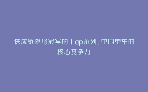 供应链隐形冠军的Top系列,中国电车的核心竞争力!
