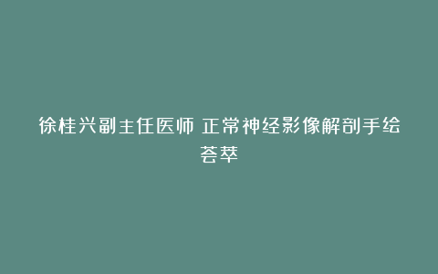 徐桂兴副主任医师:正常神经影像解剖手绘荟萃