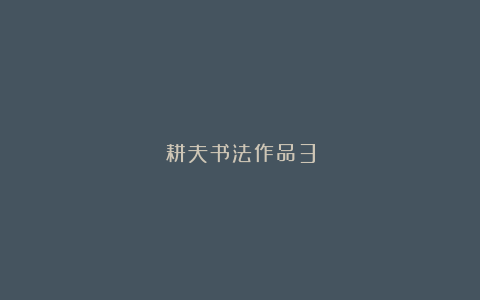 耕夫书法作品3