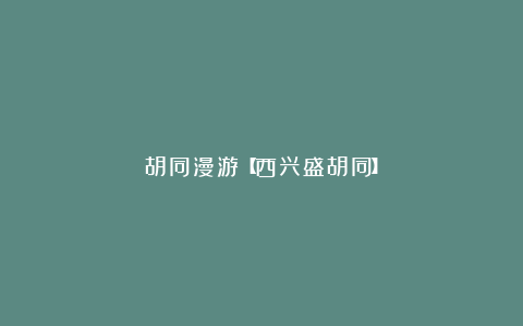 胡同漫游【西兴盛胡同】