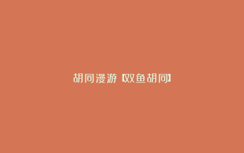 胡同漫游【双鱼胡同】