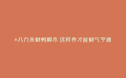 🌱八方来财鸭脚木:这样养才能财气亨通😉