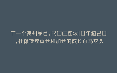 下一个贵州茅台，ROE连续10年超20%，社保持续重仓和加仓的成长白马龙头
