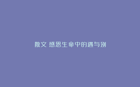 散文:感恩生命中的遇与别
