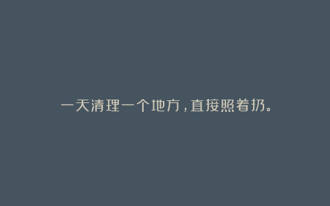 一天清理一个地方，直接照着扔。