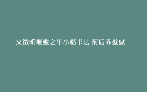 文徵明耄耋之年小楷书法《前后赤壁赋》 ​​​