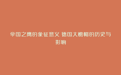帝国之鹰的象征意义:德国大檐帽的历史与影响