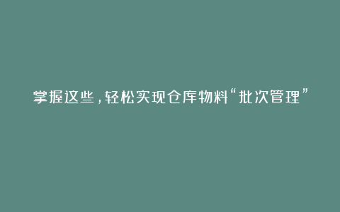 掌握这些,轻松实现仓库物料“批次管理”!