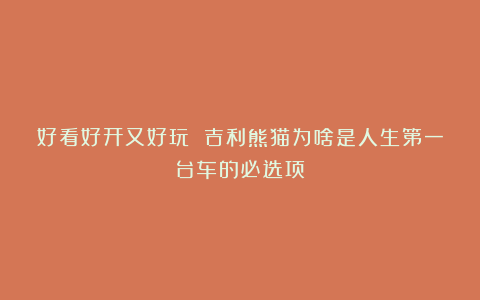 好看好开又好玩 吉利熊猫为啥是人生第一台车的必选项