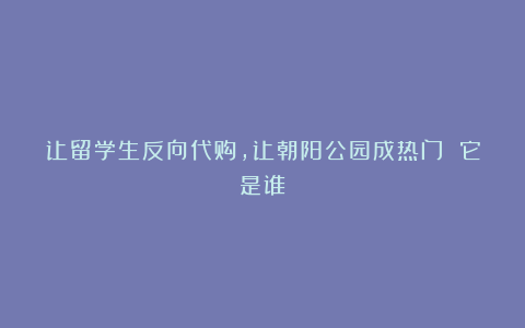 让留学生反向代购，让朝阳公园成热门 它是谁？