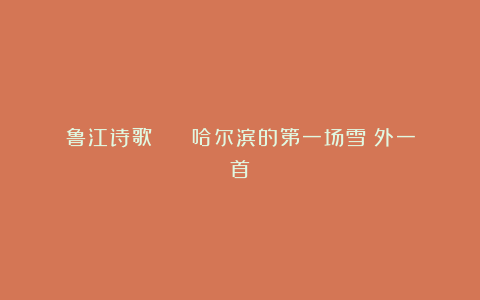 鲁江诗歌 || 哈尔滨的第一场雪(外一首)