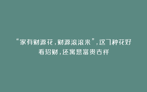 “家有财源花,财源滚滚来”,这7种花好看招财,还寓意富贵吉祥
