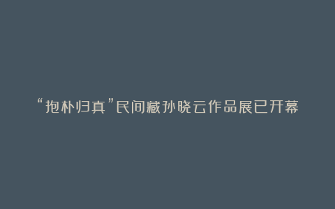 “抱朴归真”民间藏孙晓云作品展已开幕