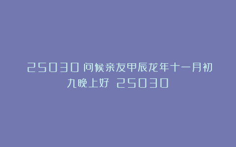 (25030)问候亲友甲辰龙年十一月初九晚上好!(25030)