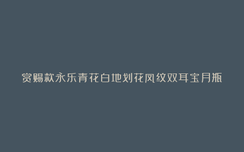 赏赐款永乐青花白地划花凤纹双耳宝月瓶