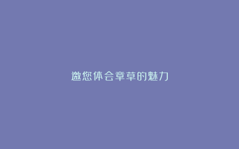 邀您体会章草的魅力