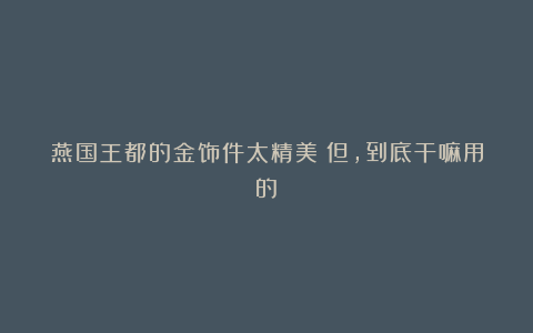 燕国王都的金饰件太精美!但,到底干嘛用的?