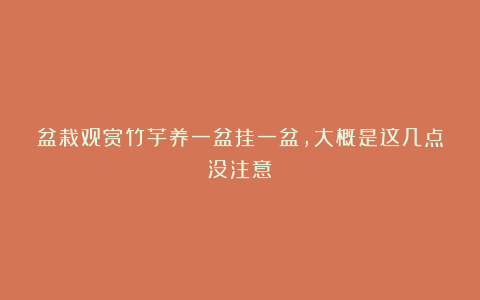 盆栽观赏竹芋养一盆挂一盆,大概是这几点没注意