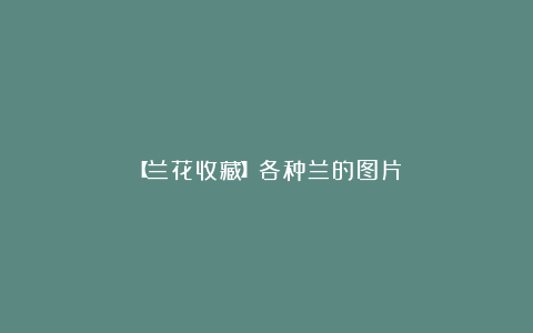 【兰花收藏】各种兰的图片