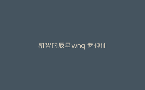 机智的辰星wnq：老神仙！