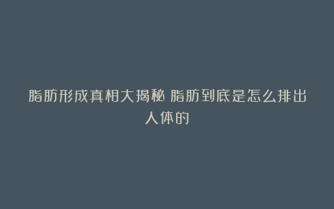 脂肪形成真相大揭秘!脂肪到底是怎么排出人体的?