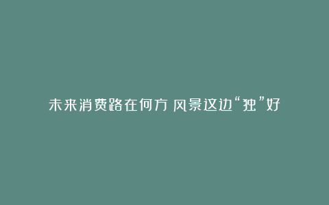 未来消费路在何方?风景这边“独”好