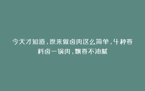 今天才知道,原来做卤肉这么简单,4种香料卤一锅肉,飘香不油腻