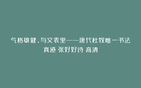 气格雄健,与文表里——唐代杜牧唯一书法真迹《张好好诗》高清