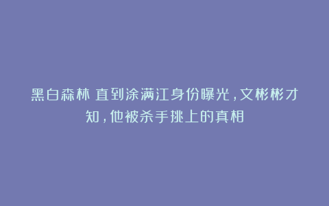 黑白森林:直到涂满江身份曝光,文彬彬才知,他被杀手挑上的真相