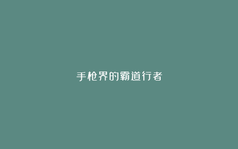 手枪界的霸道行者