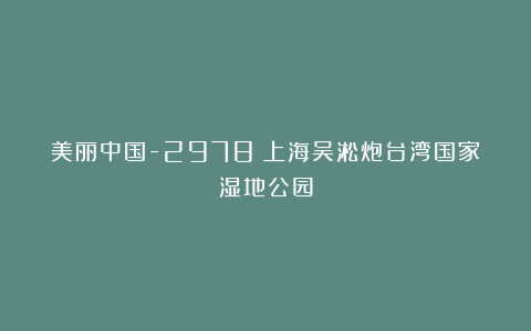 美丽中国-2978:上海吴淞炮台湾国家湿地公园