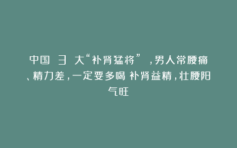 中国 3 大“补肾猛将” ,男人常腰痛、精力差,一定要多喝!补肾益精,壮腰阳气旺