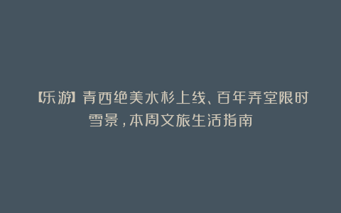 【乐游】青西绝美水杉上线、百年弄堂限时雪景,本周文旅生活指南