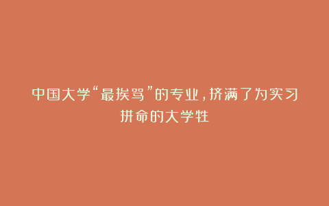 中国大学“最挨骂”的专业,挤满了为实习拼命的大学牲