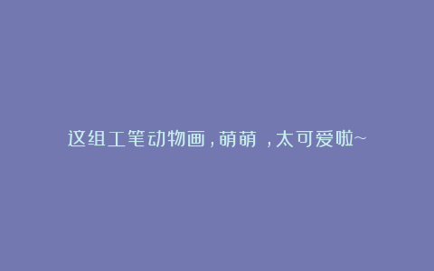 这组工笔动物画,萌萌哒,太可爱啦~